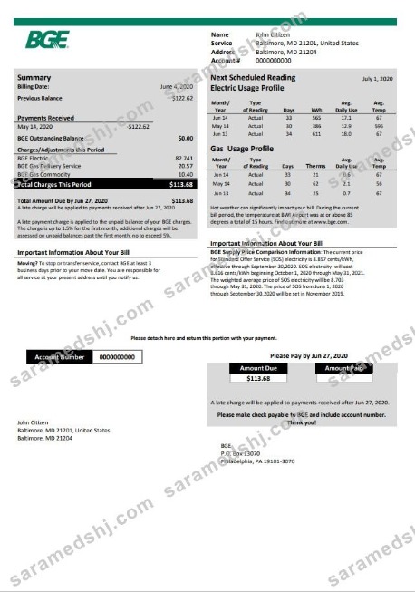 USA Maryland BGE gas and electric utility bill template in Word and PDF format